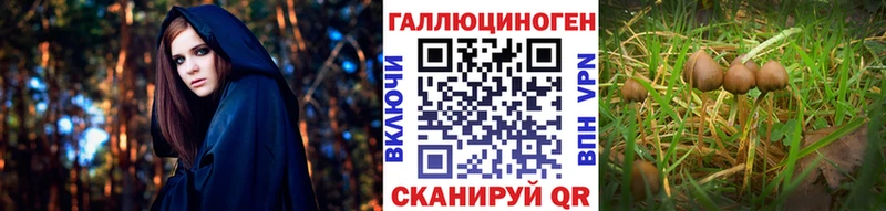 darknet как зайти  Остров  Псилоцибиновые грибы мицелий  KRAKEN рабочий сайт 